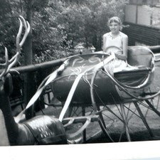 c1950s Girl in Sleigh Reindeer North Pole Snapshot Photo Theme Park Holiday Vtg picture
