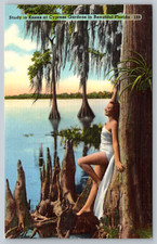 c1940s Cypress Gardens Study Knees Beautiful Florida Postcard picture