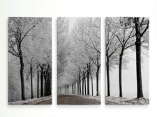 Renditions Gallery Winter Curve 3 Panel Wall Art 15798-4060-3P picture