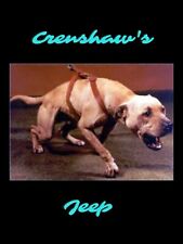 Crenshaw Jeep American Pit Bull Terrier Sticker picture