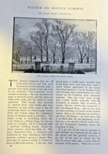 1894 Winter on Boston Common State House The Old Elm Beacon Street Mall picture