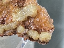 6cm ADAMITE (Excellent Crystals) 53g, *Ojuela Mine, Mexico* picture