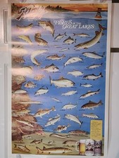 ORIGINAL 1987 BLATZ BEER POSTER FISHES OF THE GREAT LAKES HEILEMAN BREWING 35x23 picture