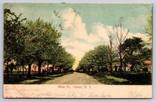 Main Street Orient Long Island New York NY 1906 Postcard picture
