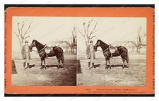City Point Virginia Jeff Davis Horse Standard Postcard COPY RPPC picture