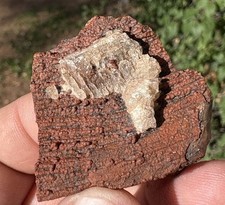 โ๏ธRRโ๏ธ: Unique Arizona Petrified Wood W/Red Druzy/Barite ๐ picture