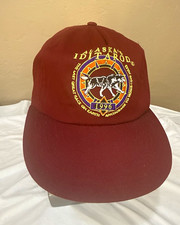 Vintage 1996 Alaska Iditarod Hat Snapback Sled Dog Race Arctic Circle Cap picture
