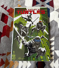 Teenage Mutant Ninja Turtles #1-12 (2024) Cover A + Annual by Jason Aaron picture
