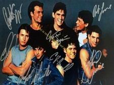 The Outsiders Matt Dillon Macchio Swayze Lowe Cruise Signed Autograph 8x10 HD110 picture