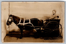 RPPC c1910s Young Boy Driving Shetland Pony Cart Studio Postcard picture