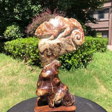 3.98LB Rare Natural Tentacle Ammonite FossilSpecimen Shell Healing Madagasc picture