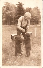 Vintage RPPC postcard of a man fedding babies bears . picture