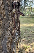 Rare Hand-forged Visalia Monel Bit With Bridle Circa 1920-1930 picture