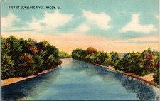 Macon Ga. Georgia View of Ocmulgee River Postcard picture
