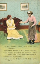 Humorous Antique Postcard Madam and Old Maid Chickens Cats Kittens N picture