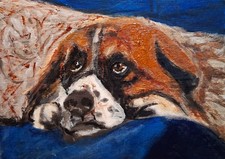 Original  ACEO  Acrylic Painting Dog Saint Bernard Pup Resting Head on the Couch picture