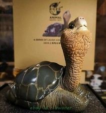 Animal Heavenly Body WF2025 Shanghai Chelonoidis  abingdonii Lonely George Model picture