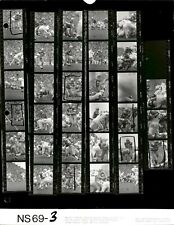 LD228 1969 Original Contact Sheet Photo OHIO STATE BUCKEYES vs TCU HORNED FROGS picture