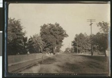 View down Residence Street in Woodland 1900-1940 California Old Photo picture