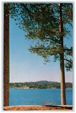 c1950's Lake Arrowhead San Bernardino National Park View California CA Postcard picture