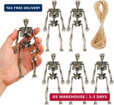 Small Skeleton Figurine 6 Inches,6 Pieces Plastic Skeletons Mini Poseable Skelet picture