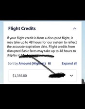 Southwest Airlines $1,356.80 Transferable Flight Credit [DIGITAL DELIVERY] picture