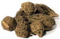 Bulk Herbs: High John the Conqueror Root 1 oz picture