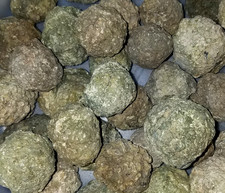 (1-LB LOT)=(14 to 20 Uncut Rough Oregon Thundereggs) Lapidary Agate Rocks Geode picture