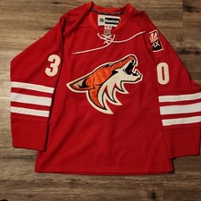 Vintage 2000s Reebok Rare Arizona Coyotes Ilya Bryzgalov #30 Mens SZ 52 SIGNED picture