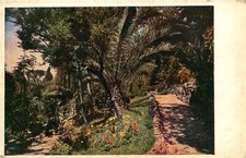 Vintage Rome Italy Postcard Grand Hotel de Russie Il Giardino Garden View picture