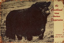 1958 Historic Bull Herd Sale Vintage Cattle Poster Tin Sign Shorthorn barn decor picture