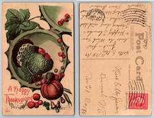 Vintage Thanksgiving Turkey Pumpkin Postcard Manitowoc WI 1919 Posted picture