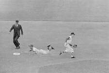 St Louis Missouri Shortstop Maury Wills stealing 96th base dive- 1962 Old Photo picture