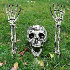 Realistic Skeleton Stakes Halloween Decorations 3-Piece Set with Skull & Adjusta picture