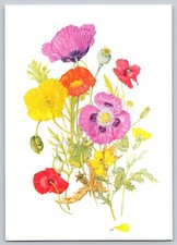 Vintage Medicinal Society Poppies Botanical Art Postcard England picture