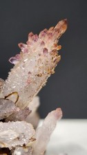 Cholla Veracruz Amethyst Crystal Cluster  Cholla de Vera Cruz Crystals #E10710 picture