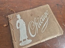 Antique 1908 Souvenir of Chicago Hammon Book Pamphlet Photos Rare Edwardian  picture