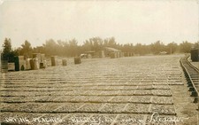 1908 RPPC Drying Peaches Reedley California Farm Railroad Track Postcard picture