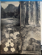 Vintage 1961-62 Ahwahnee Hotel Yosemite Dinner Menus Ansel Adams Half Dome x4 picture