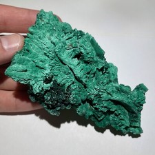 Rare 4.3” Museum Quality Fibrous Malachite Crystal Cluster 156g Specimen - Congo picture