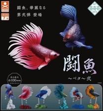 Fighting Fish Betta II Figure Complete Set 6 Capsule Toy Gacha Shipping Free NEW picture