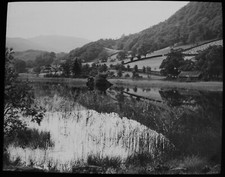 ANTIQUE GBB Magic Lantern Slide A WEED FRINGED LAKE C1890 VICTORIAN PHOTO picture