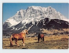 Postcard Zugspitze von Lermoos Austria picture
