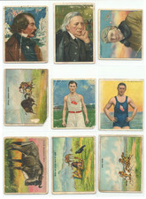 Lot of (11) History Vintage Indian Lighthouse Cards Hassan Pan Handle Mecca T68 picture