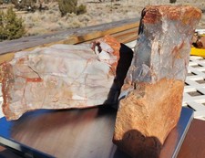Arizona Petrified Wood, Giant White Agatized Crystals, Rough Orange Bark, 45+ Lb picture