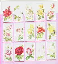 1926 W.D. & H.O. WILLS ROSES 15 DIFFERENT TOBACCO CARD LOT picture