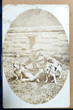 Black & White Photo Postcard Portrait of Man Sitting With Two Dogs.....P36 picture
