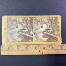 Yosemite Valley Stereoview E. Muybridge No 10 California 1860s picture