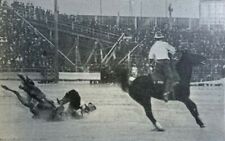 1903 World Championship Bronco Busting Contest at Denver Colorado picture