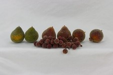 Vintage Frosted Fruits, 7 Pieces Per BIN picture